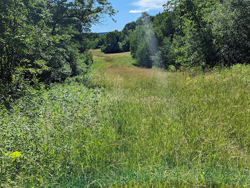 Black Creek Marsh Wildlife Management Area - Thumbnail