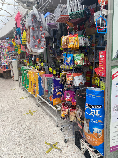 Paw mania
