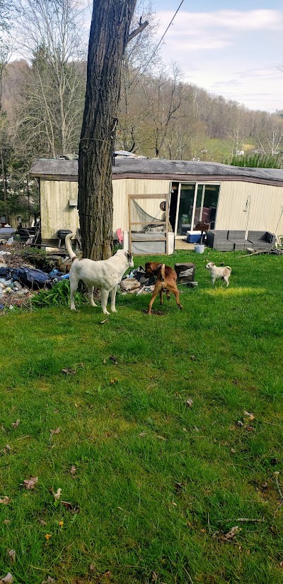 Animal Friends of Barbour County