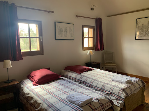 Photo de Demeure de Bizard:Location de vacances jusqu'à 19 personnes avec piscine au coeur des châteaux de la Loire en Loir-et-Cher à Thésée (41140)