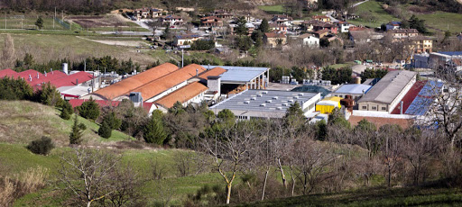 VALLE ESINA Spa - Thumbnail