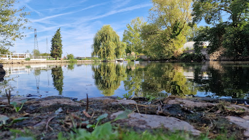 Photo de Le Moulin Neuf à Villiers-le-Bâcle (91190)