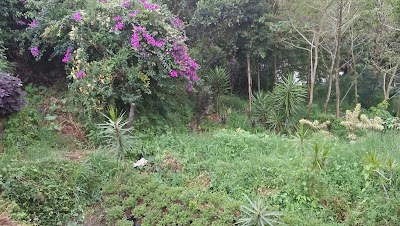 Photos of Bali Ubud Homestay