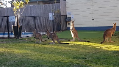 Photos of Palm Beach Caravan Park