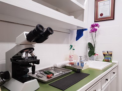 Photos of Lyttelton Animal Hospital