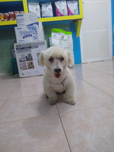 SEVETAB (Servicio Veterinario de Tabasco)