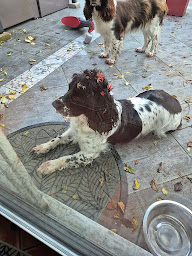 Photo n°12 de ARRAS ARMURERIE à Arras (Armurerie)