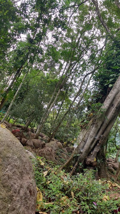 Photos of miraflores Natural Park