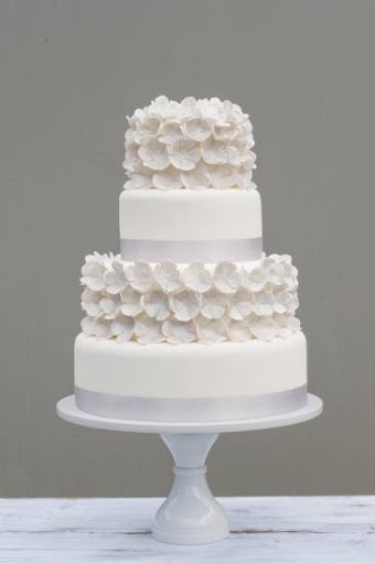 B Cake Studio - Visual