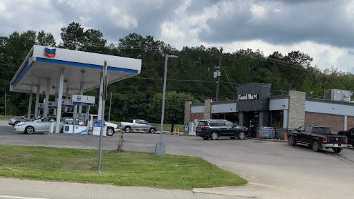 Chevron Splendora - Visual