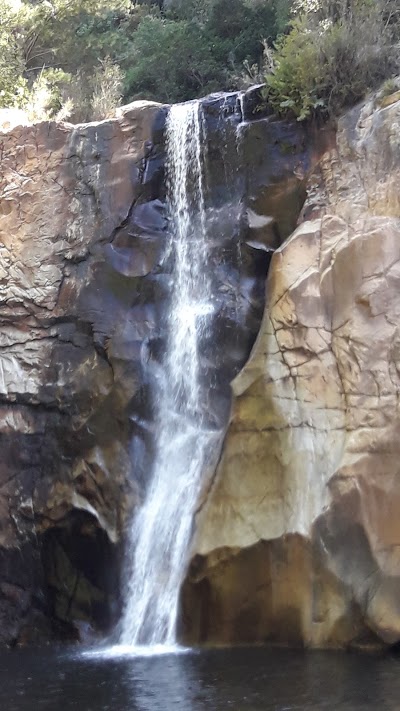 Photos of Sirenazo