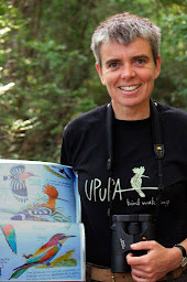 Photo n°18 de UPUPA Birdwatching à Rustrel (Circuit de randonnée)