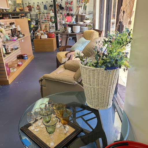 Asheville Humane Thrift Store - Thumbnail