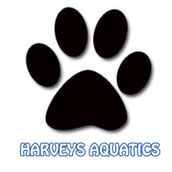 Harveys Aquatics - Thumbnail