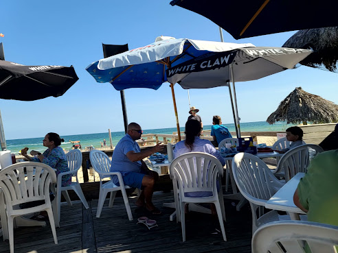 Blue Parrot Ocean Front Cafe by null