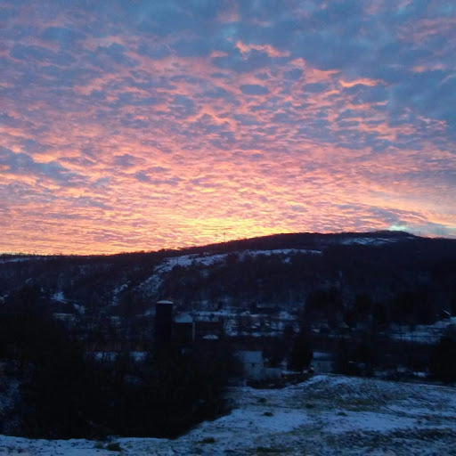 Kast Hill Farm Gallery - United States