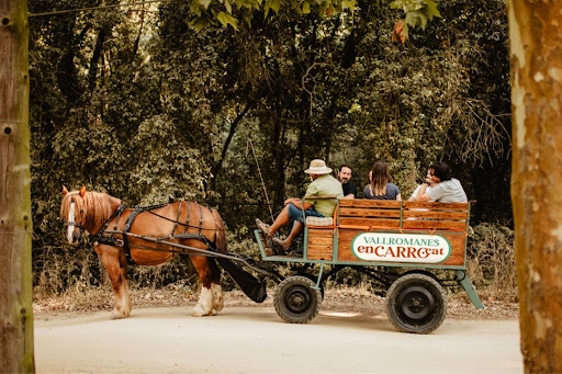 VALLROMANES EN CARRO - Thumbnail