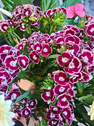 Fiori Blumen Inge der Prucker Elisabeth - Thumbnail