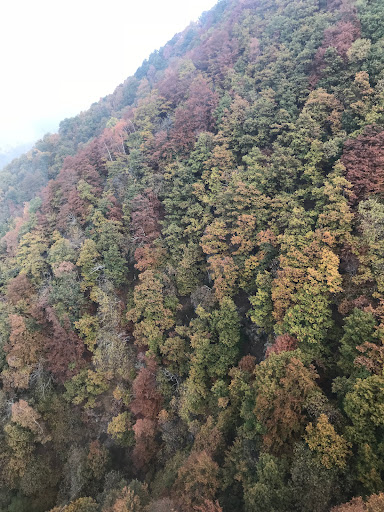 Comune di Crandola Valsassina (lc) - Thumbnail