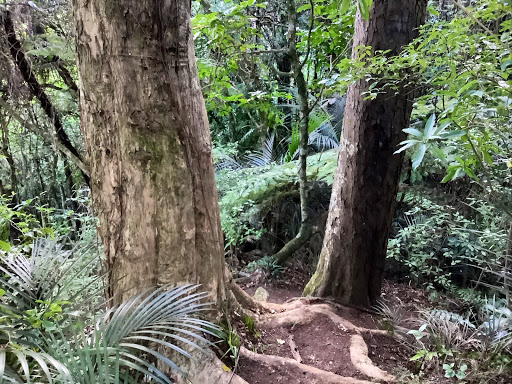 Redhill Scenic Reserve Logo
