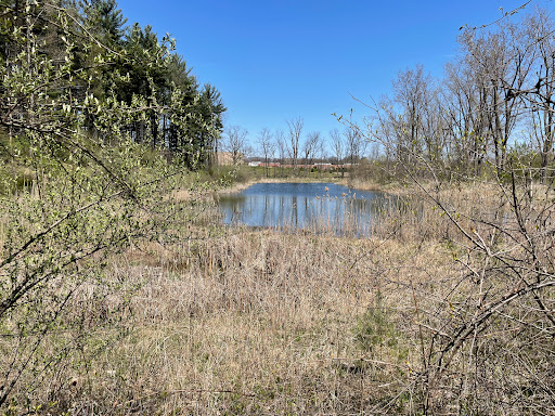 Nature Trail & Bridge