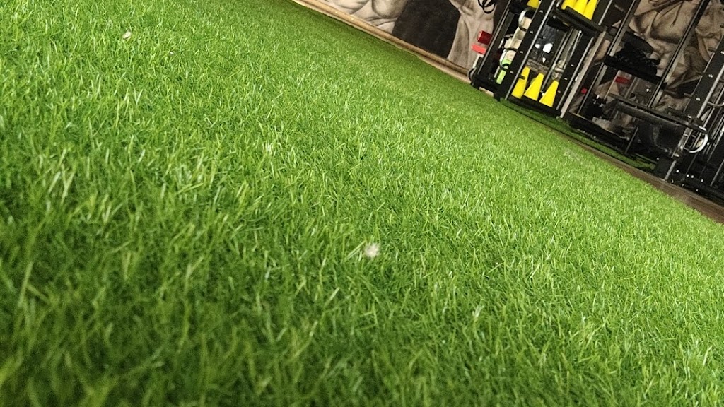 Aiza Multi Gym Aiza Ladies Gym