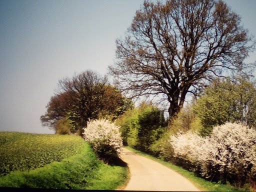 SterniPark Ferienhof Langballig - Thumbnail