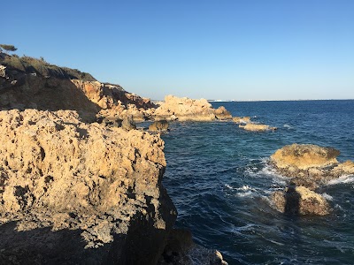 Mediterranean Monk Seal Habitat