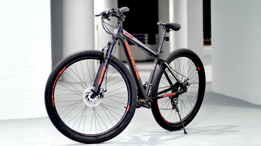 WolfKing Bike - Visual