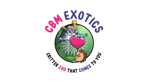 CBM Exotics - Visual
