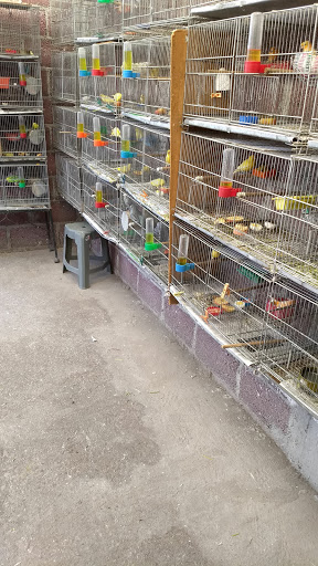 La casa de las aves Cuautla Morelos . - Thumbnail