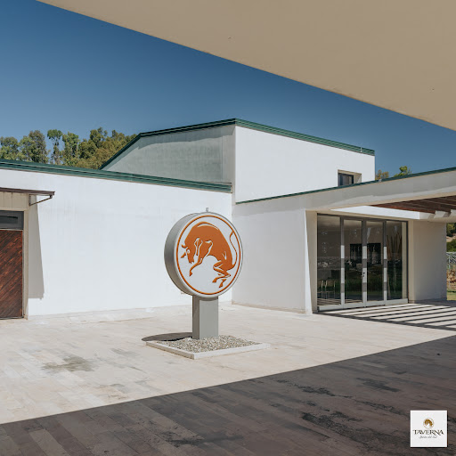 Cantine Taverna - Visual