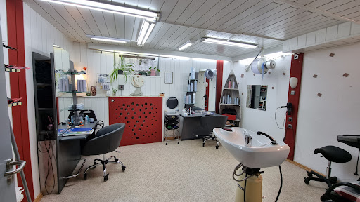 Studio Ambiente - Visual