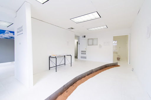 Xolo Gallery - Visual