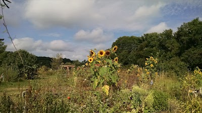 Photos of Northampton Community Gardens