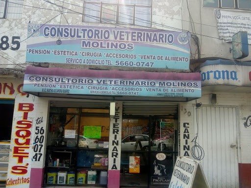 Consultorio Veterinario Molinos