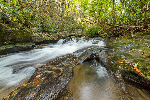 Coleman River Scenic Area - Thumbnail