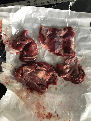 Upper valley processing - Visual