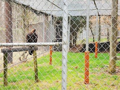 Carolina Raptor Center