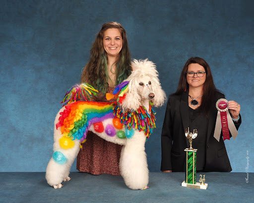 Sandy Hill Kennels Gallery - United States