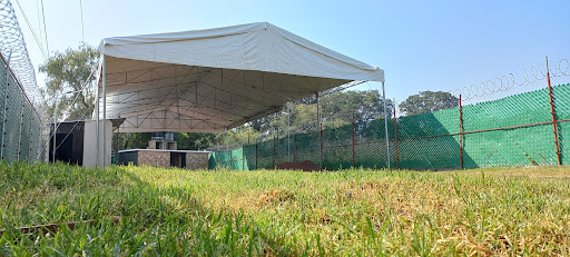 site_photo2