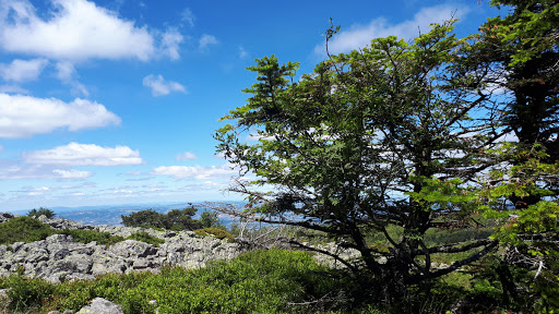 Photo de EHPAD La Tour des Cèdres à Saint-Sauveur (31790)