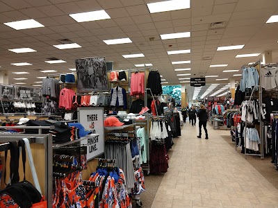 Scheels