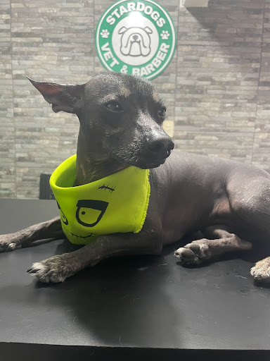 Stardogs Veterinaria & Barber