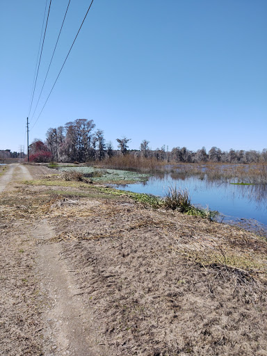 Lake Busbee Walking Trail - Thumbnail