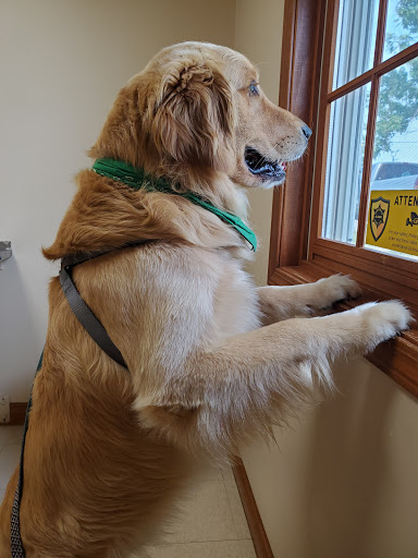 Animal Medical Center of Lapeer - Thumbnail