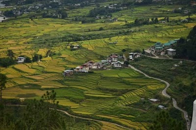 Photos of Jigme Dorji Wangchuck National Referral Hospital