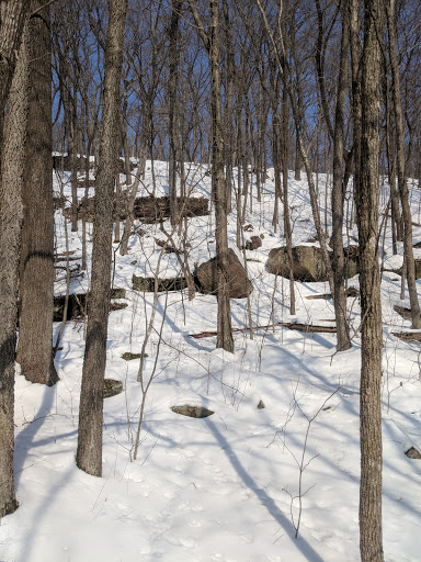 Lost Lake State Natural Area - Thumbnail