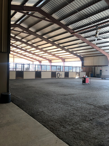 Performance Equine Associates - Visual