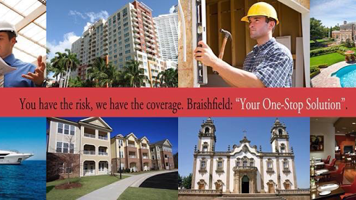Braishfield - Visual